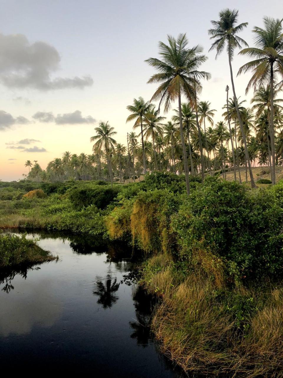 Lindo Village Imbassai Mata de Sao Joao Buitenkant foto